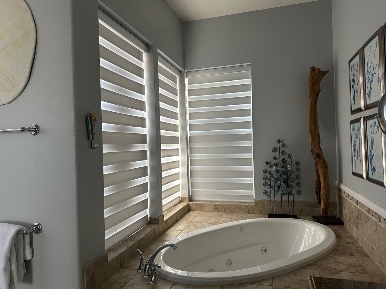 Bathroom with zebra blinds
